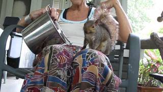 Pamela Zilly's "Squirrel-Friend"