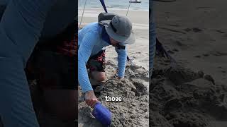 How to Set Up a Beach Canopy on a Windy Day.