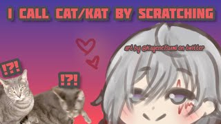 FULGUR calls cat/kat with scratchy sounds