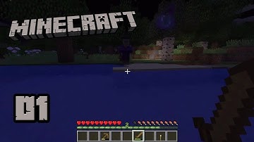 Stupid Witch - 01 - MINECRAFT - Survival (No Commentary)