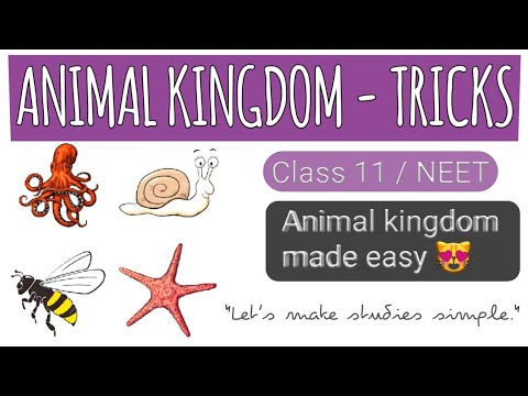 Animal kingdom tricks || Easy way to learn || NEET / class 11 - YouTube