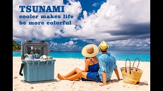 Tsunami Small Ice Cooler Box