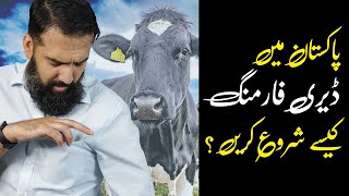 How to Start Dairy Farming Business in Pakistan, PROFIT & LOSS | Azad Chaiwala
