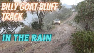 Billy Goat Bluff Track Jan 2024  IN THE RAIN!!!