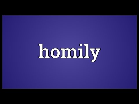 Homily Meaning