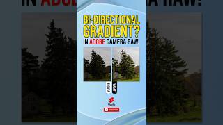 NEW Camera Raw Feature: Bi-Directional Gradient!