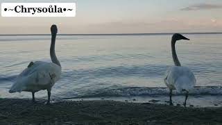 The Seaside Of Your Dreams - Vassilis Saleas