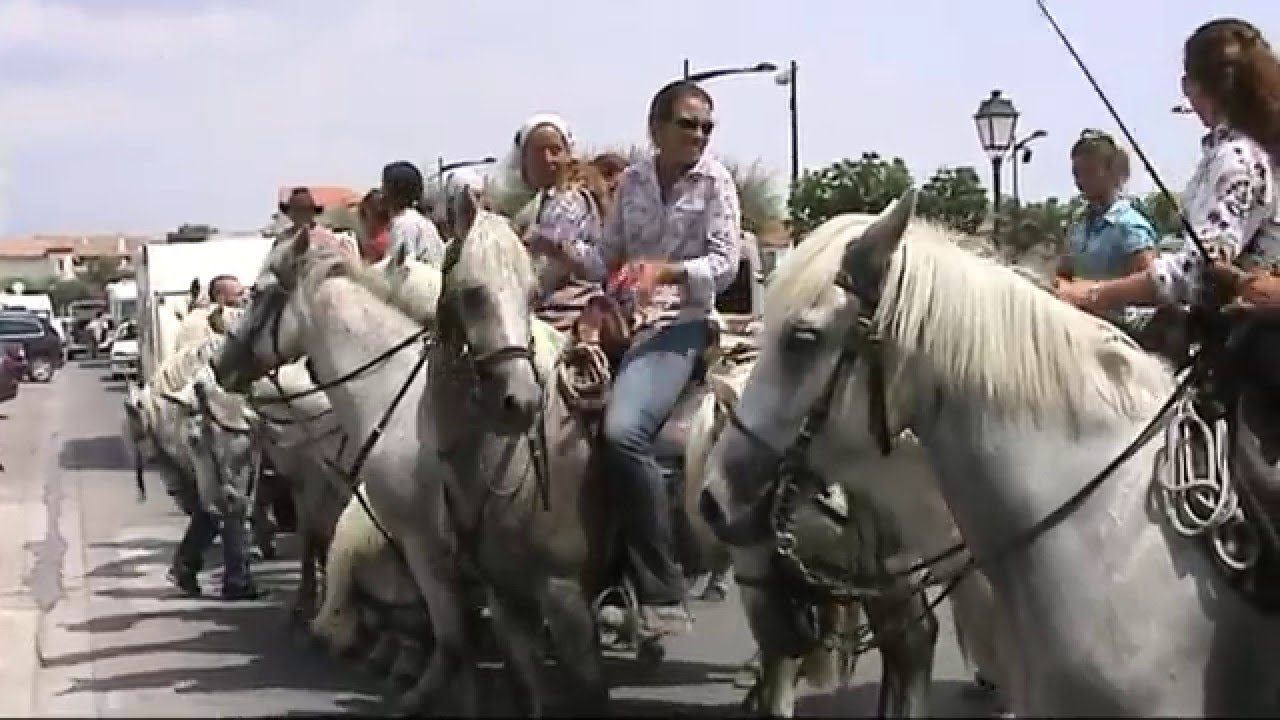 Dagtochtjes in de Bouches-du-Rhône/Vaucluse.