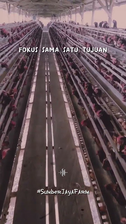 FOKUS PADA SATU TUJUAN...
