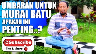 Apakah ini penting? 🔴 UMBARAN MURAI BATU untuk dapatkan stamina yang bagus