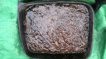 IMO 2 Indigenous how to make at home IMO Indigenous microorganisms made at home for soil