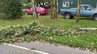 10-13-2020 Bellingham, WA - Windstorm, Power Outages, Tree Damage, Strong Winds, Crazy Waves