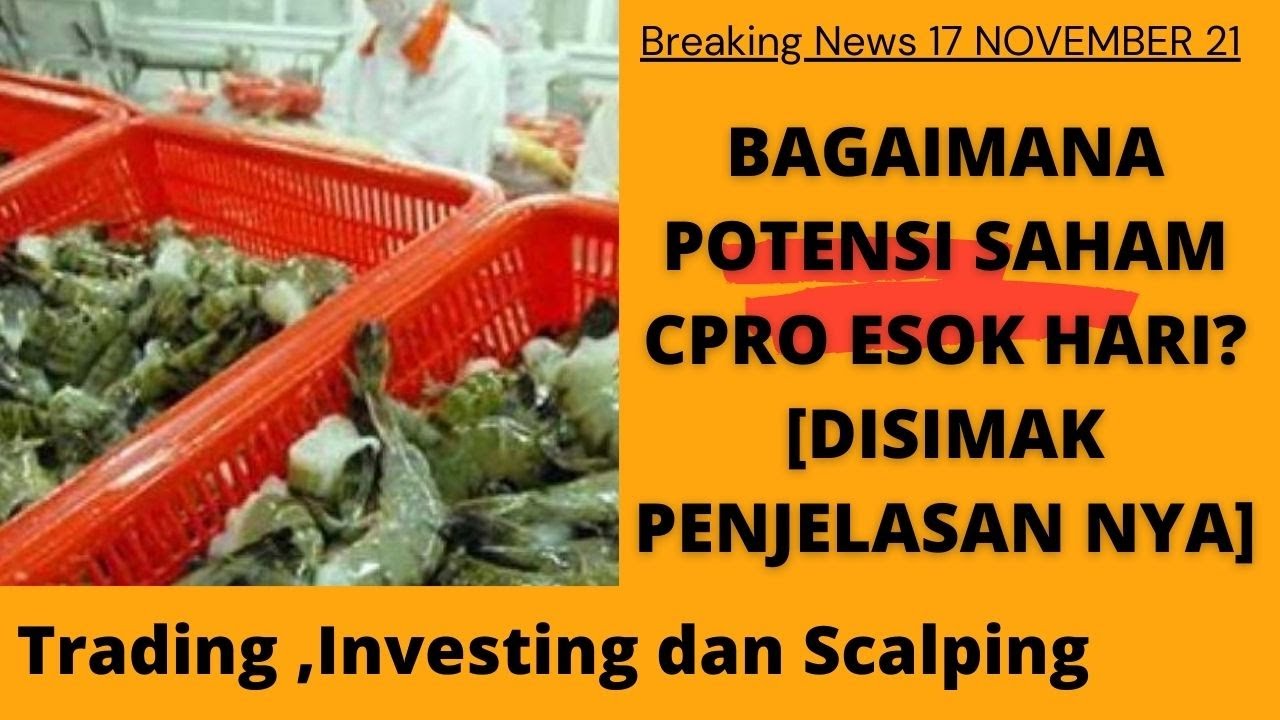 Saham cpro hari ini