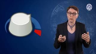 Protection - Security & Safety Challenges in a Globalized World by Universiteit Leiden #5