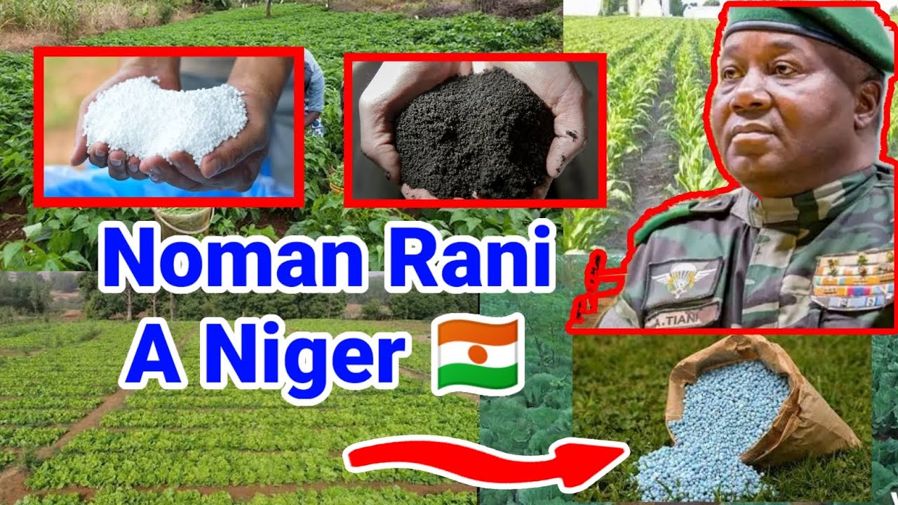 🔴 25/02/2026 Labaran Kasar Niger 🇳🇪 Kungiyar Manoman Rani Na Niger 🇳🇪 Sun Yi Kira (@maradtv )