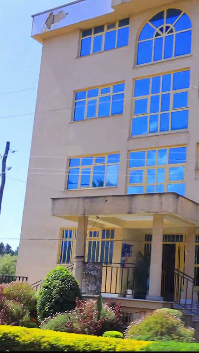 Download lagu Asella city  #ethiomusic #Asella #visitethiopia #duet