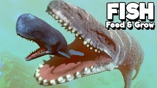 Feed and Grow Fish Gameplay German - Mosasaurus Vs. Megalodon