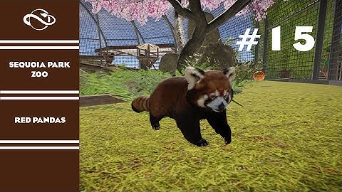 RED PANDAS | SEQUOIA PARK ZOO | EPISODE 15 | REAL TIME FRANCHISE GAMEPLAY