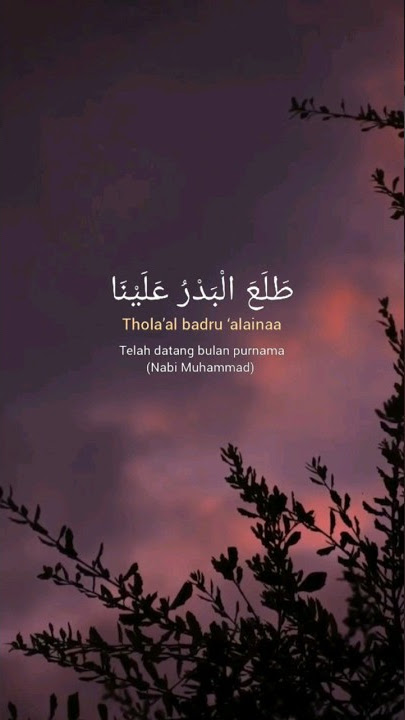 THOLA'AL BADRU ALAYNA #shorts #sholawat