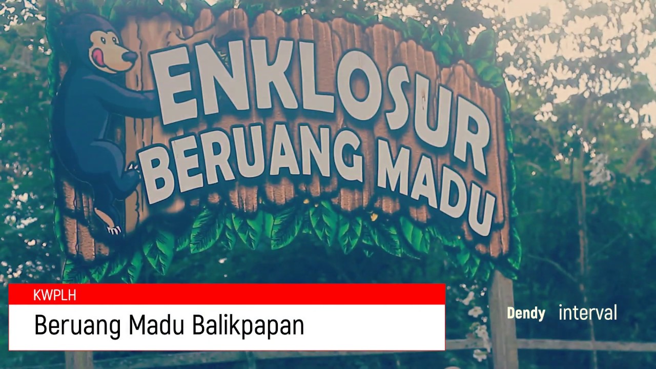 Wisata Beruang Madu Balikpapan Kwplh Youtube Wisata Beruang Madu Balikpapan Kwplh Youtube
