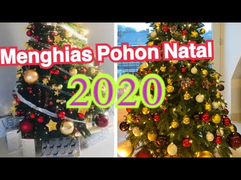 Video: Pohon Natal Yang Mekar - Untuk Liburan Tahun Baru