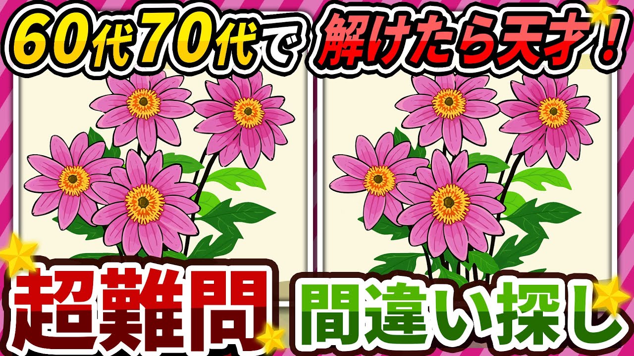 【間違い探しクイズ】⚠️むずかしい皇帝ダリアのイラスト編！脳活＆脳トレにおススメ無料ゲーム【アハ体験有り】
