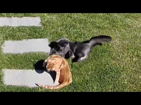 Sind jetzt Apollo und Loki beste Freunde?!