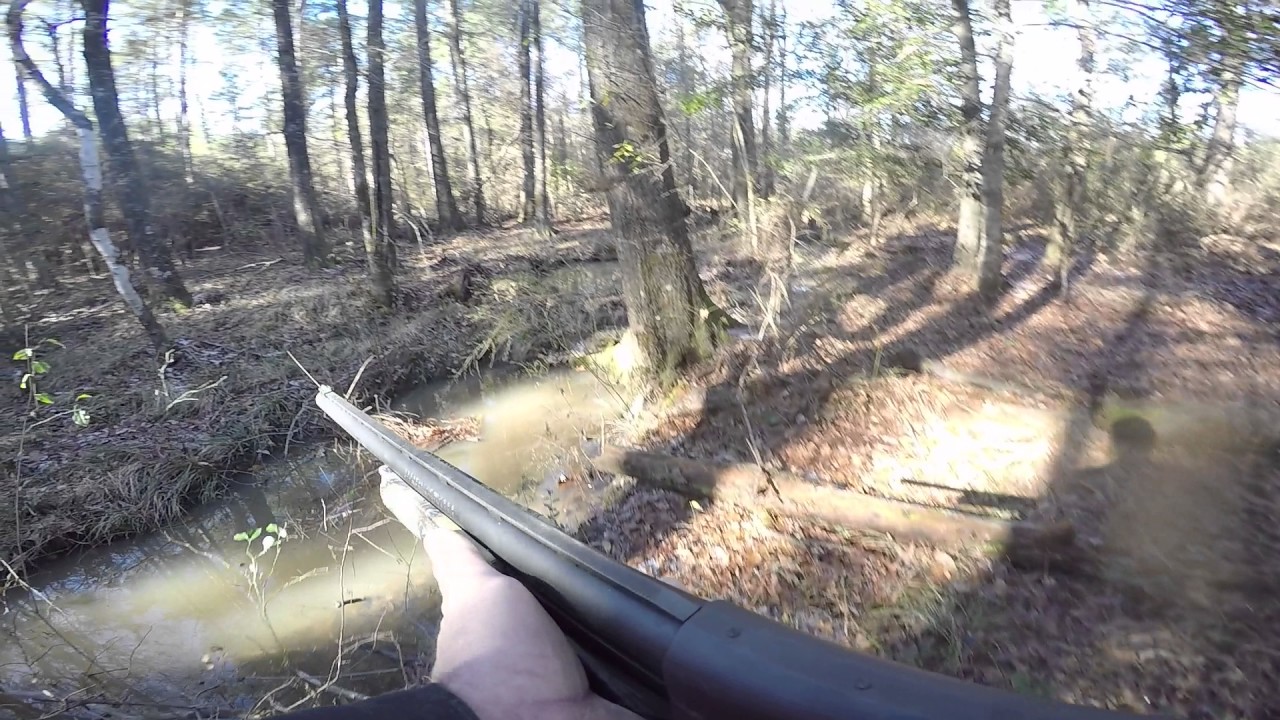 rabbit hunting in south louisiana YouTube