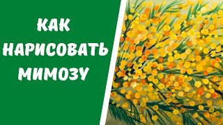 Как нарисовать мимозу. Урок рисования для детей 4-8 лет