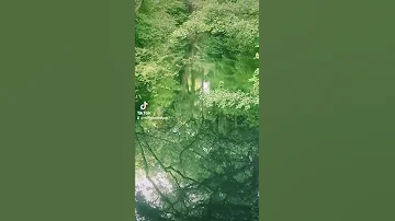 راغب علامة قلبي بيكي طاير 