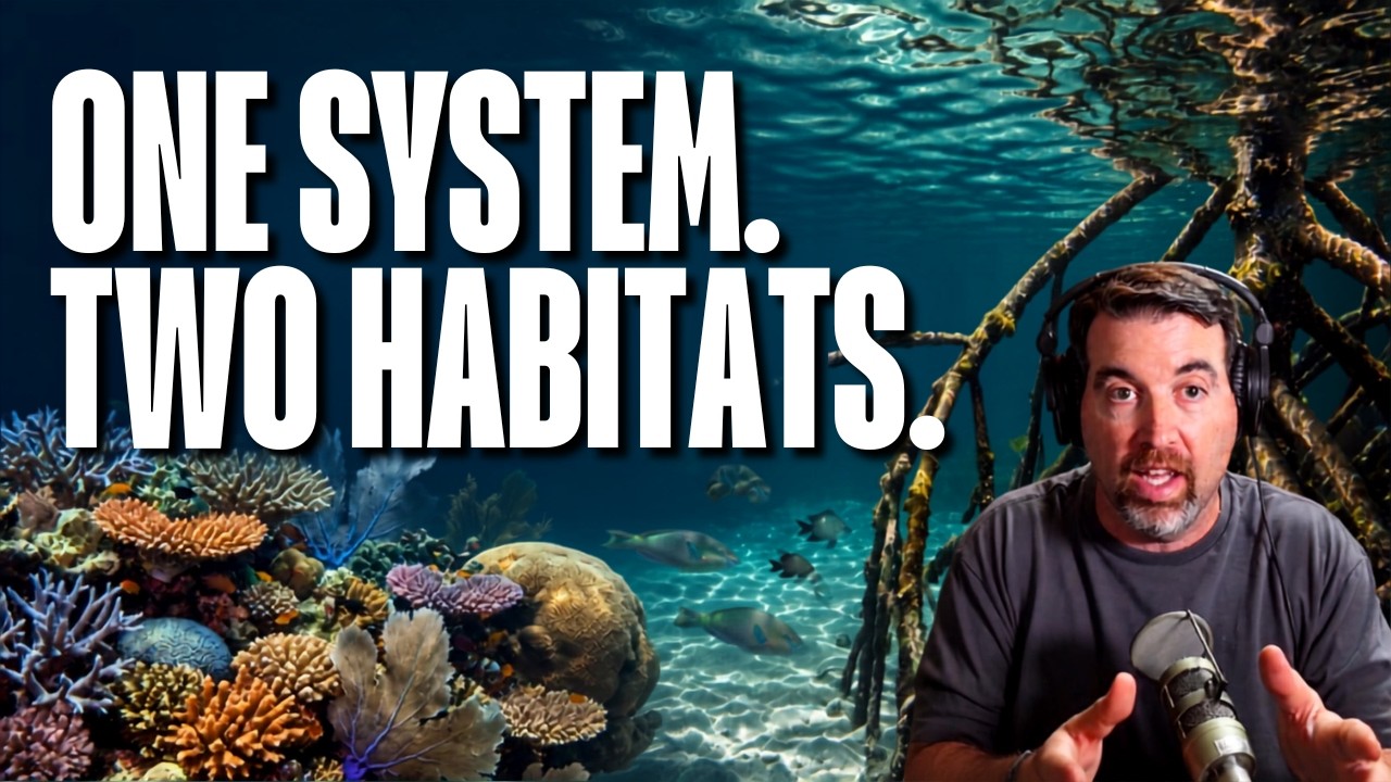 The Reef and Mangrove Connection Took a Decade of Indigenous Knowledge to Prove