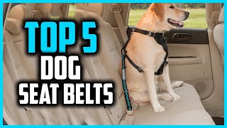 ✅Top 5 Best Dog Seat Belts in 2026