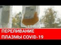 Переливание плазмы крови: насколько эффективно Городская больницы №40 город Сестрорецк