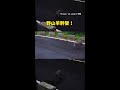 【國寶地盤戰】走步道目睹「野山羊幹架」！犄角對決誰才是老大 #Shorts