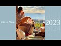 #70【2023総集編】ネコ6匹の１年の成長を１時間で振り返る｜ネコと私のつれづれ日記