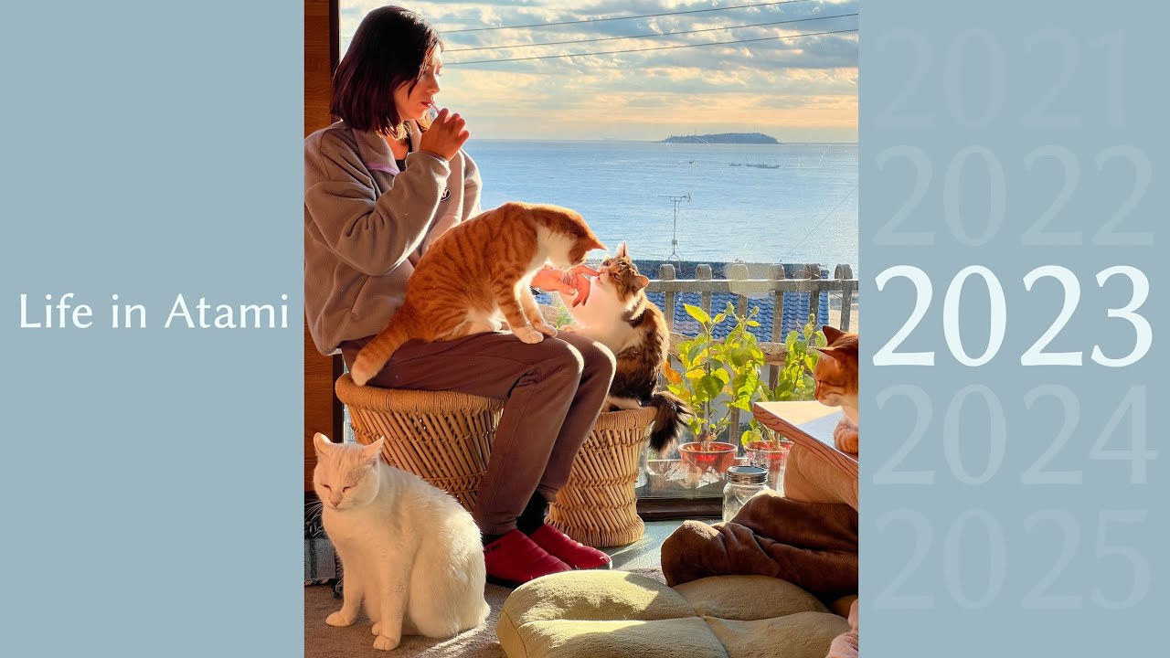 #70【2023総集編】ネコ6匹の１年の成長を１時間で振り返る｜ネコと私のつれづれ日記