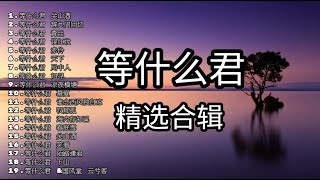 等什么君歌曲 等什么君误红妆 辞九门回忆 赤伶  等什么君 关山酒 【合辑】