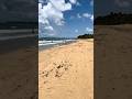 BEACH - PUERTO RICO🎥4K #puertorico #shortvideo #reels #shorts #youtube #youtubeshorts #shortsfeed