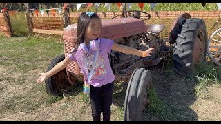 This is Halloween at Webb Ranch Pumpkin Patch