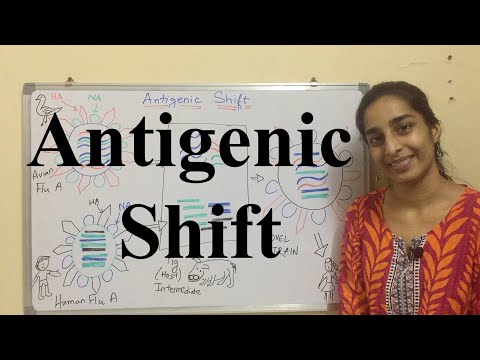 Antigenic Shift | Antigenic Shift in Influenza Virus  | Science Land