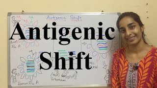 Antigenic Shift | Antigenic Shift in Influenza Virus  | Science Land