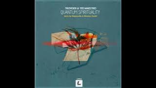 Troyder, Tee Maestro - Quantum Spirituality (Krippsoulisc Remix)