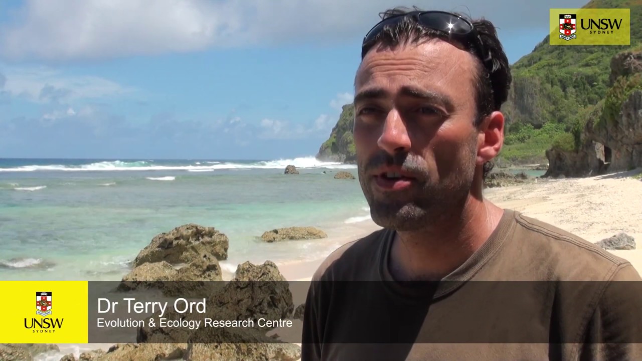 Video Episode: Mate choice and ornaments