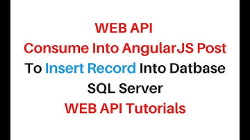 WEB API Post AngularJS To Insert Record asp.net c#4.6