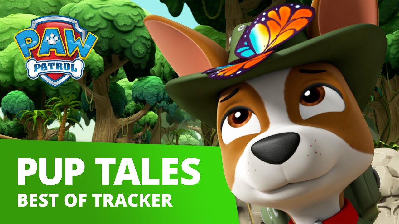 paw patrol pup tracker