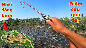 Lần đầu câu Lure bằng mồi Nhái Đông Lạnh và cái kết