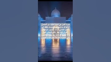 تلاوات مختاره سورة الفيل #القرآن_الكريم #قرآن #سورة_البقرة #اكسبلور #قران_كريم #ترند
