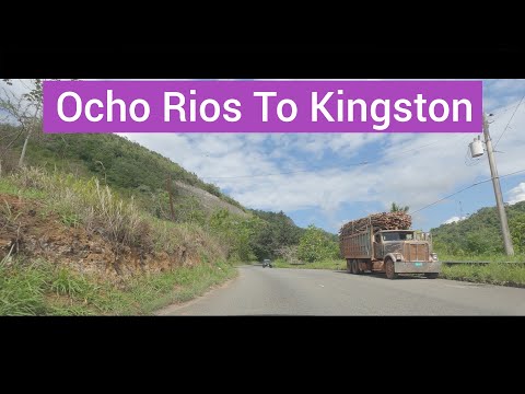 Video: Dalam Perjalanan Ke Tempat Kerja: Kingston, Jamaica - Matador Network