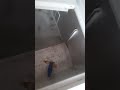 Deep Freezer coil Lekage