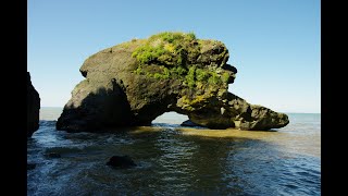 видео: Цихисдзири. Банановая роща и пляж Шукура 22.09.25 #georgia #blacksea картинка: Цихисдзири. Банановая роща и пляж Шукура 22.09.25 #georgia #blacksea